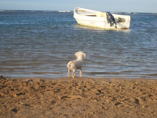 En la Playa Observando el mar